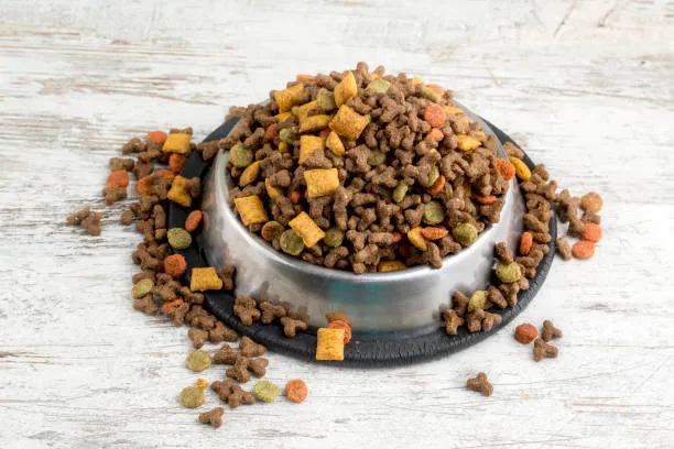Common Pet Food Myths Debunked Common Pet Food Myths