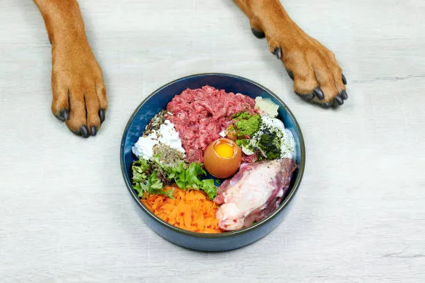 Understanding Pet Nutrition - A Guide for Pet Owners Understanding Pet Nutrition