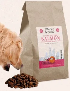 Bounce & Bella Luxury Scottish Salmon Senior