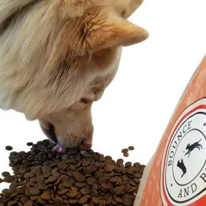 Bounce & Bella Tasty Trout & Salmon Senior