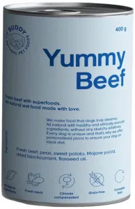 Buddy Pet Food Yummy Beef