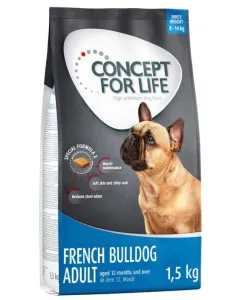 Concept for Life French Bulldog