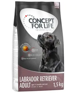 Concept for Life Labrador Retriever Adult