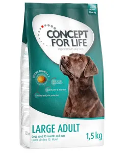 Concept for Life Large Adult