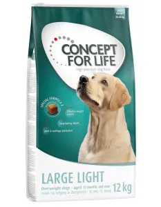 Concept for Life Large Light