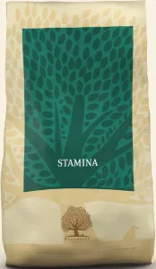 Essential Foods Stamina