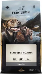 Ferguson Scottish Salmon Puppy