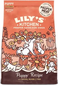 Lily's Kitchen Chicken & Salmon Puppy