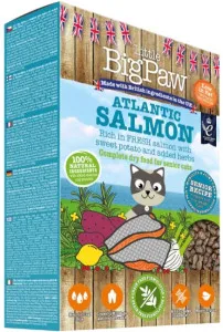 Little BigPaw Atlantic Salmon Dry Senior