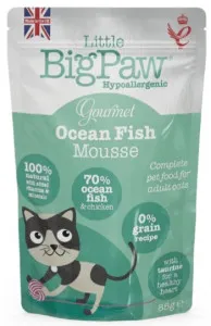 Little BigPaw Ocean fish