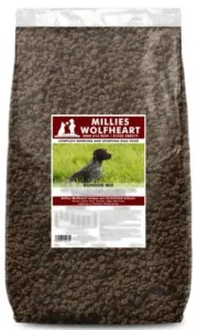 Millies Wolfheart Gundog Mix