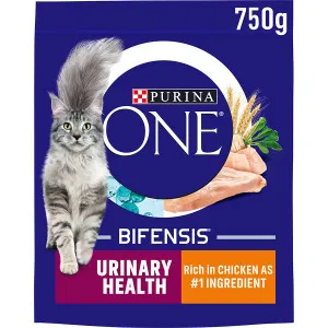 Purina ONE Urinary Health Adult Chicken