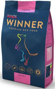 Red Mills Winner Puppy