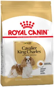 Royal Canin Cavalier King Charles