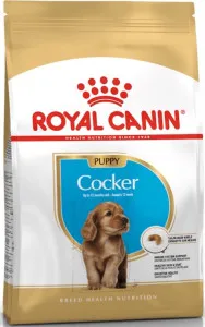Royal Canin Cocker Spaniel Puppy