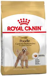Royal Canin Poodle