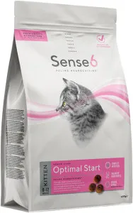 Sense6 Kitten