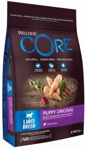 Wellness Core Large Breed Puppy Chicken