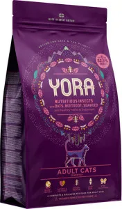 Yora Adult Cat